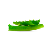 Aloe Vera Extract