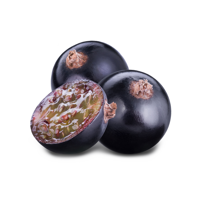 Black Currant