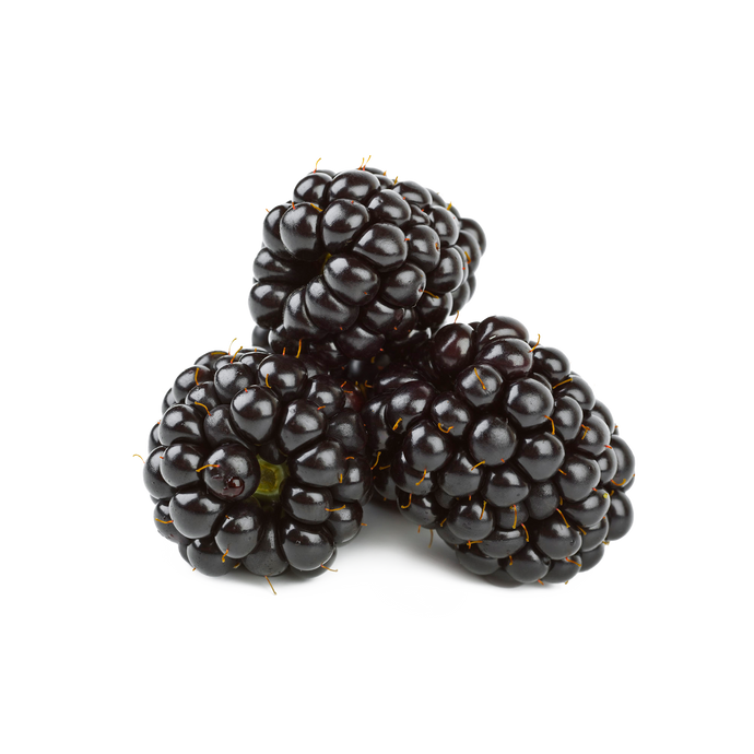 Organic Blackberry