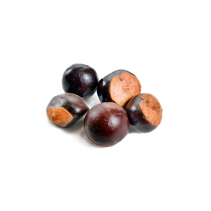 Guarana Seed Extract