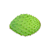 Organic Prickly Pear