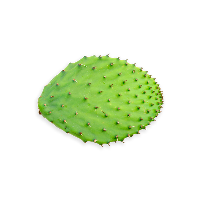 Organic Prickly Pear