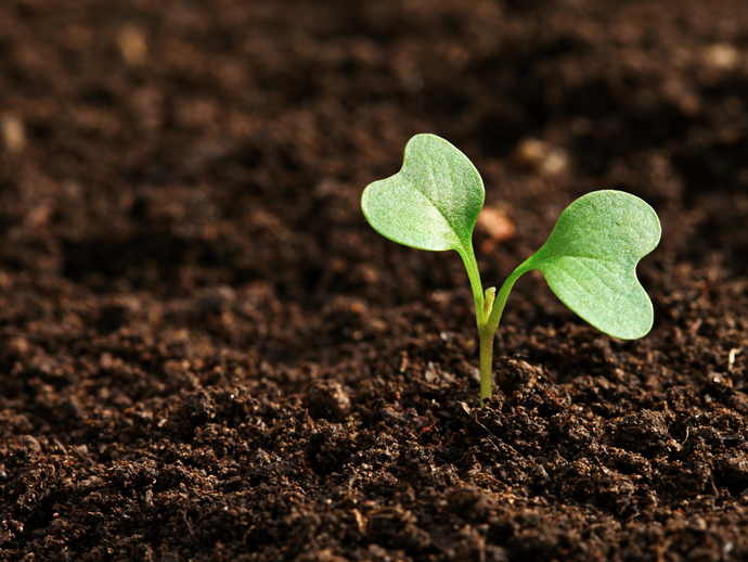 Earth Day Q&A with Leading Environmental Scientist